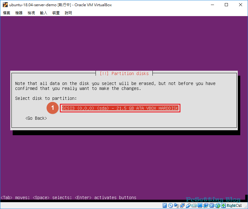 選擇你要將Ubuntu系統安裝至哪顆硬碟-vboxubuntuserver041